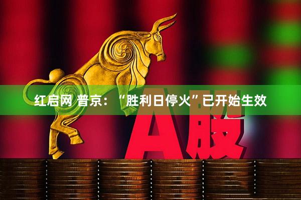 红启网 普京：“胜利日停火”已开始生效