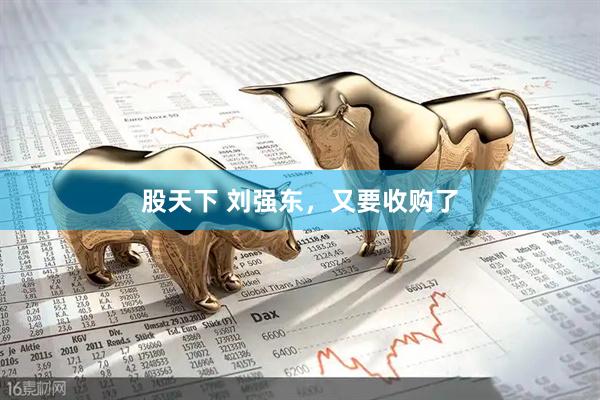 股天下 刘强东，又要收购了