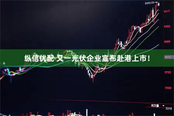 纵信优配 又一光伏企业宣布赴港上市！